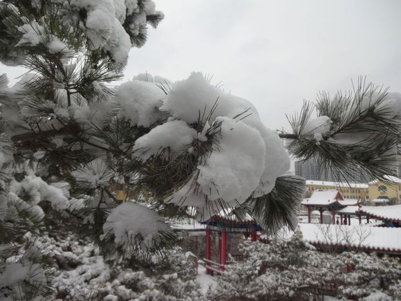 滕州大雪